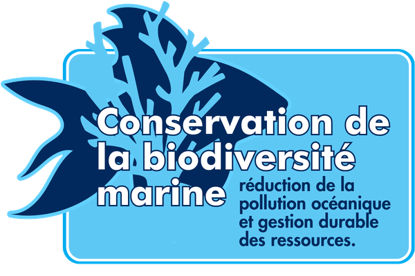 Fiche présentant les aspects liés à la biodiversité marine